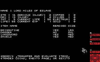 Wizard's Crown screenshot 4 for Atari ST